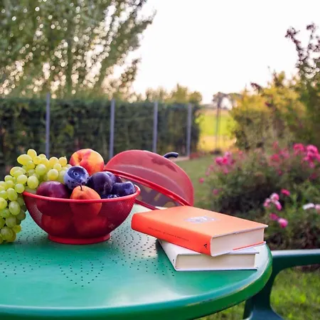 Bed & Breakfast Casa Guareschi *